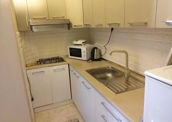 Friendly Apartment